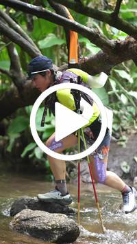 BIB:  <button type="button" onclick="openModal(27606277)" class="btn btn-primary btn-sm float-right" data-toggle="modal" data-target=".modal-high-quality">
                <i class="fa fa-download"></i> Download
                </button>